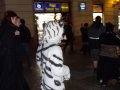 DSCF2642.JPG